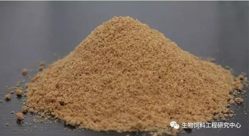 鱼粉市场行情如何？最新价格变动有哪些值得关注的点？