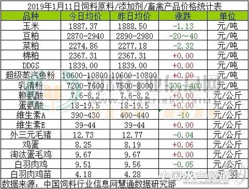 恩阳鱼粉：一碗鲜美的故事