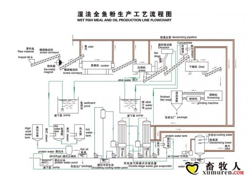 鱼粉价格上涨，这背后藏着哪些秘密？