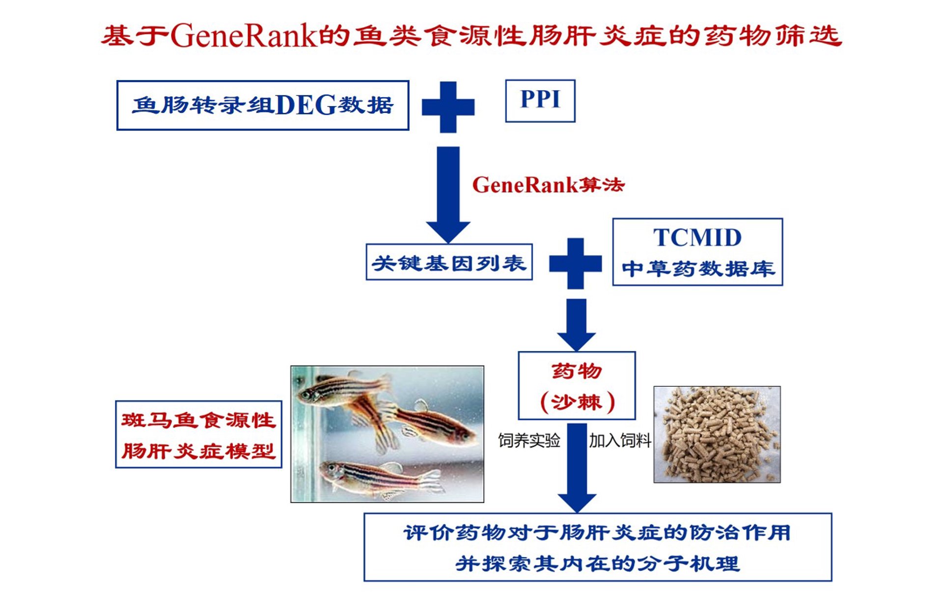鱼易院饲料